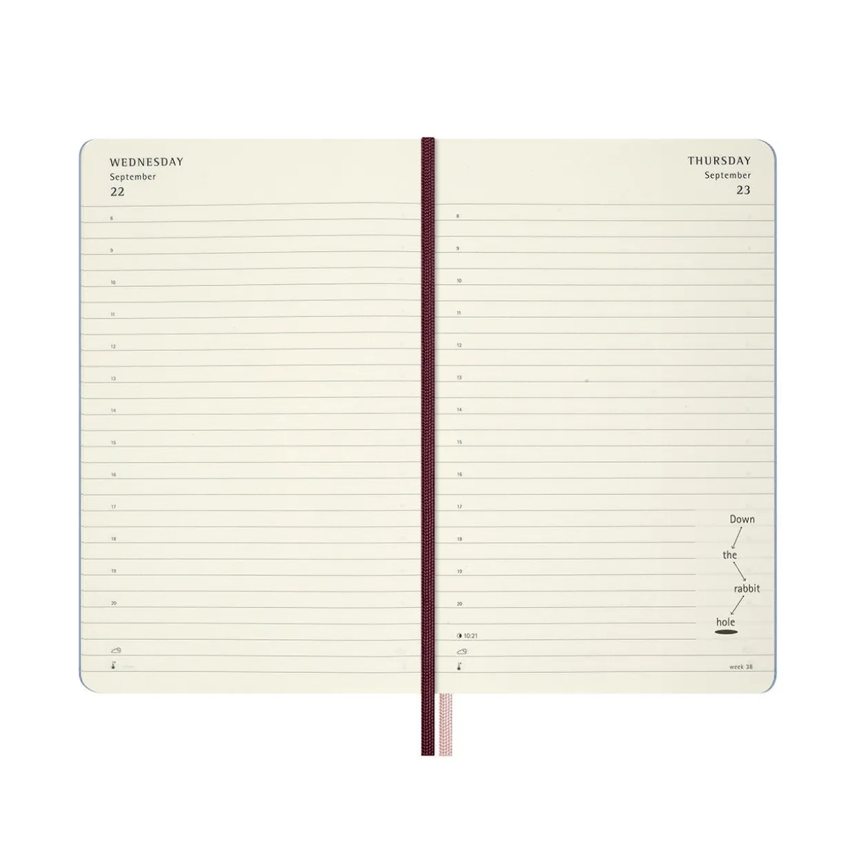Alice in Wonderland Limited Edition 2027 Daily Hard Cover Diary