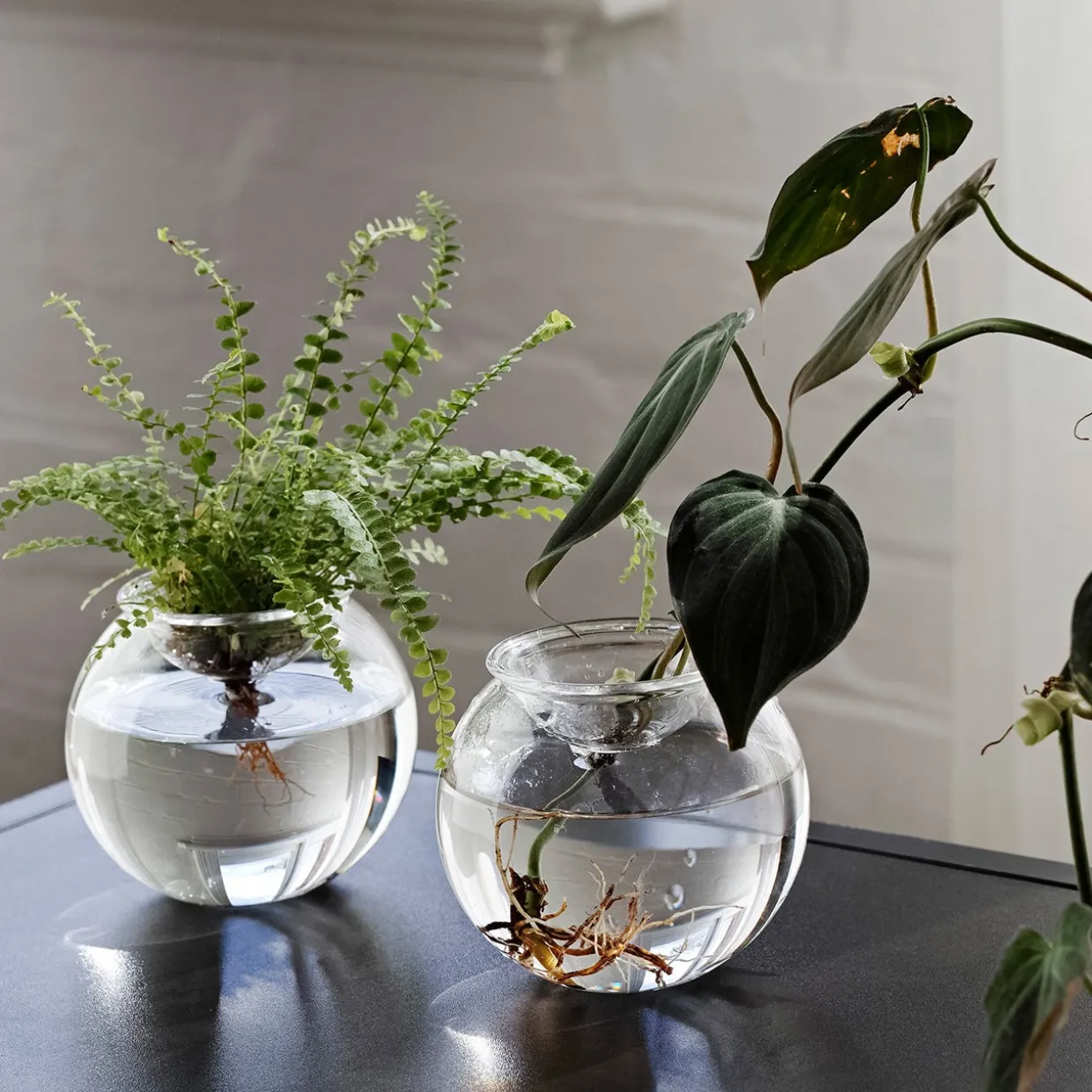 Bulb Planter 10cm Set of 2
