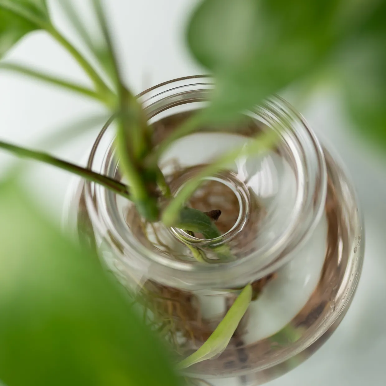 Bulb Planter 10cm Set of 2