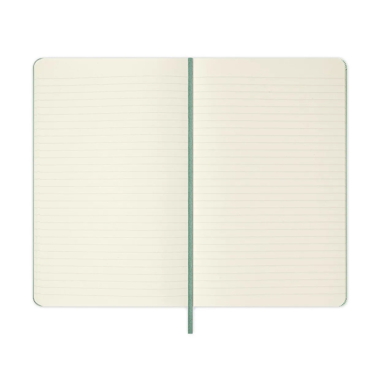 Classic Large Hard Cover Notebook Sage