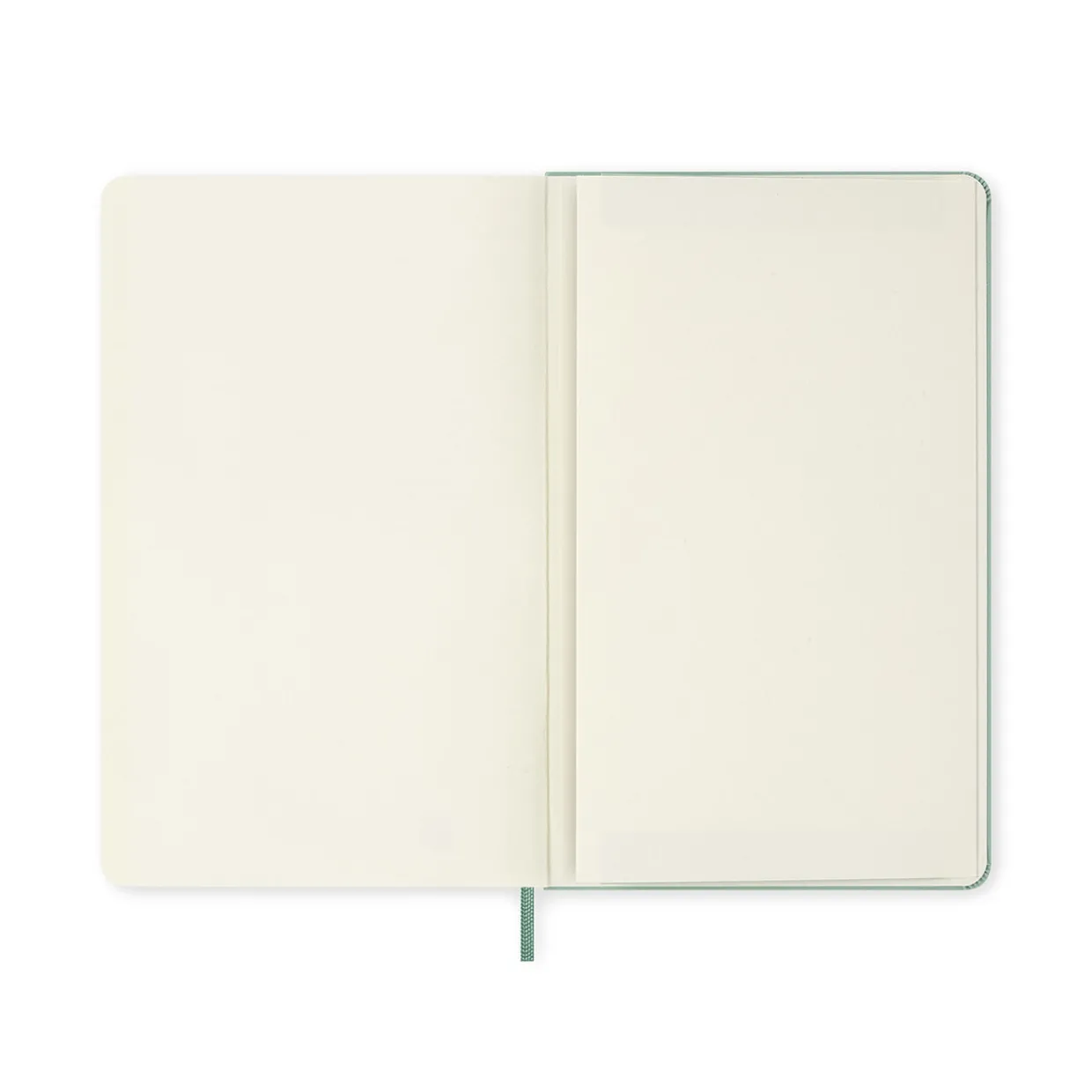 Classic Large Hard Cover Notebook Sage