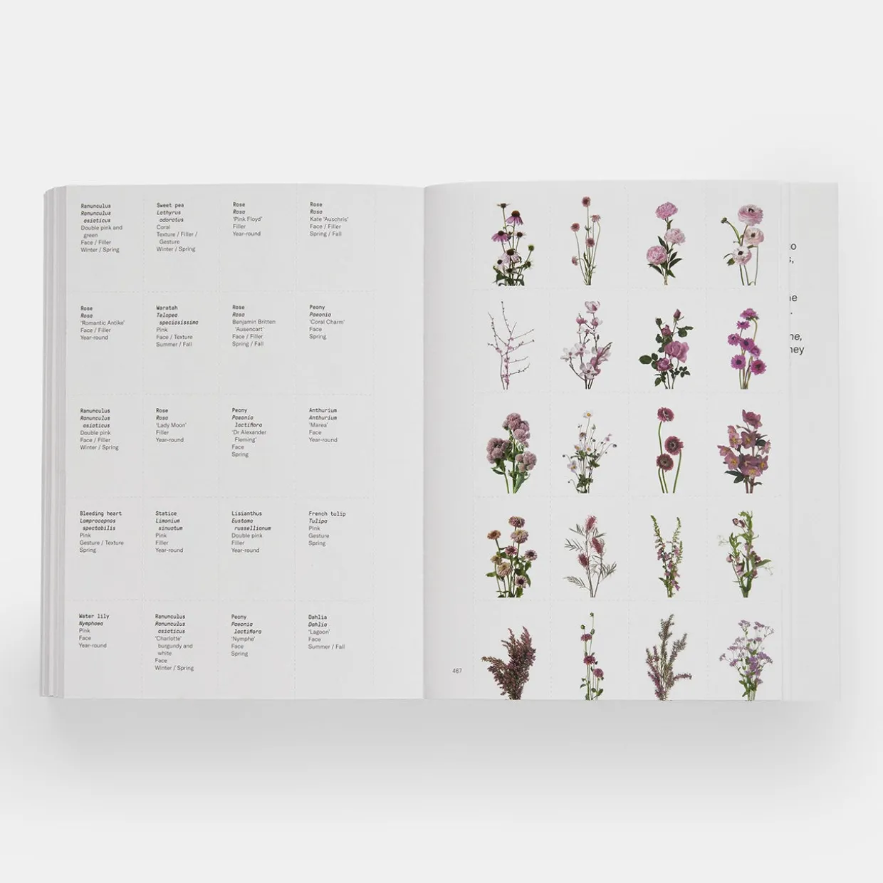 Flower Colour Guide