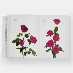 Flower Colour Guide