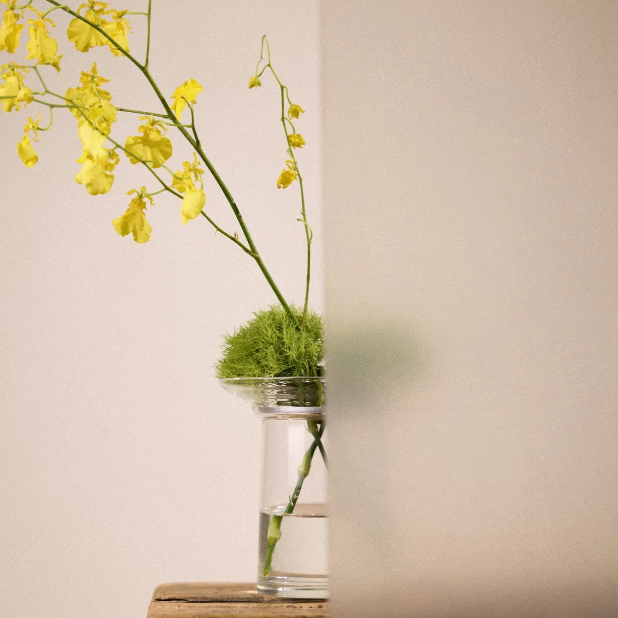 Ikebana Vase Medium