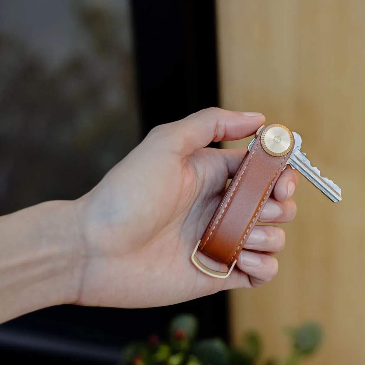Key Organiser Pro
