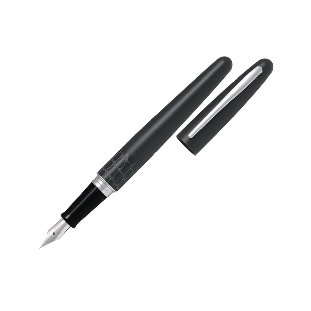 Metropolitan Fountain Pen