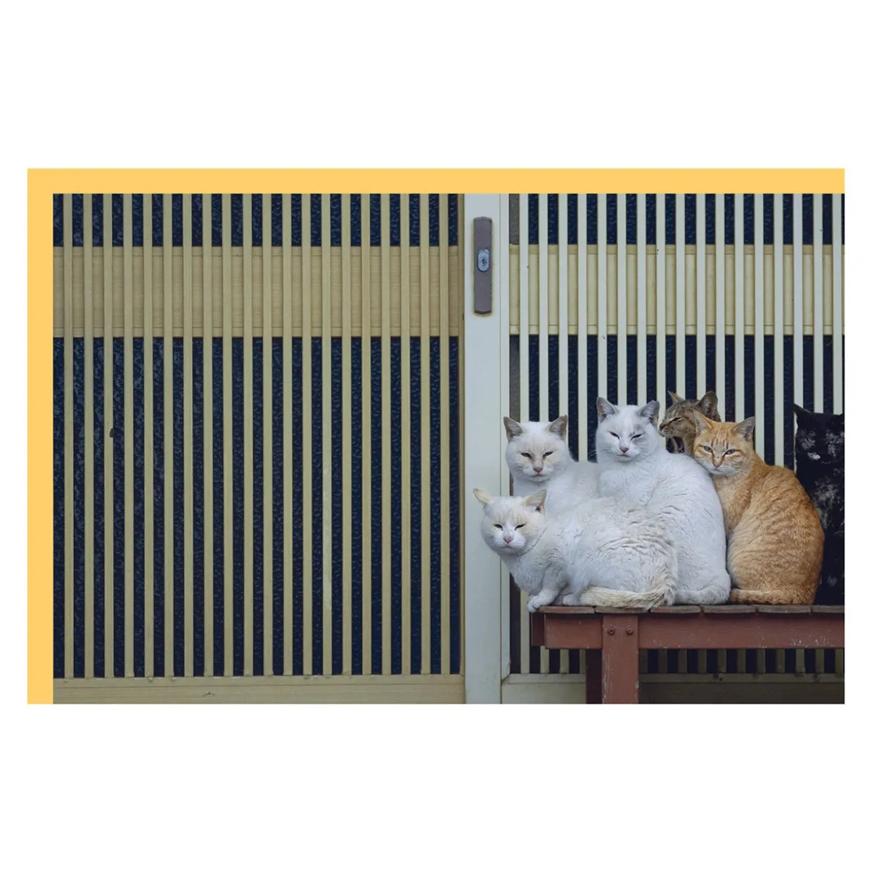 Neko: Cats of Japan