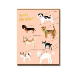 Out For A Walk Birthday Greeting Card