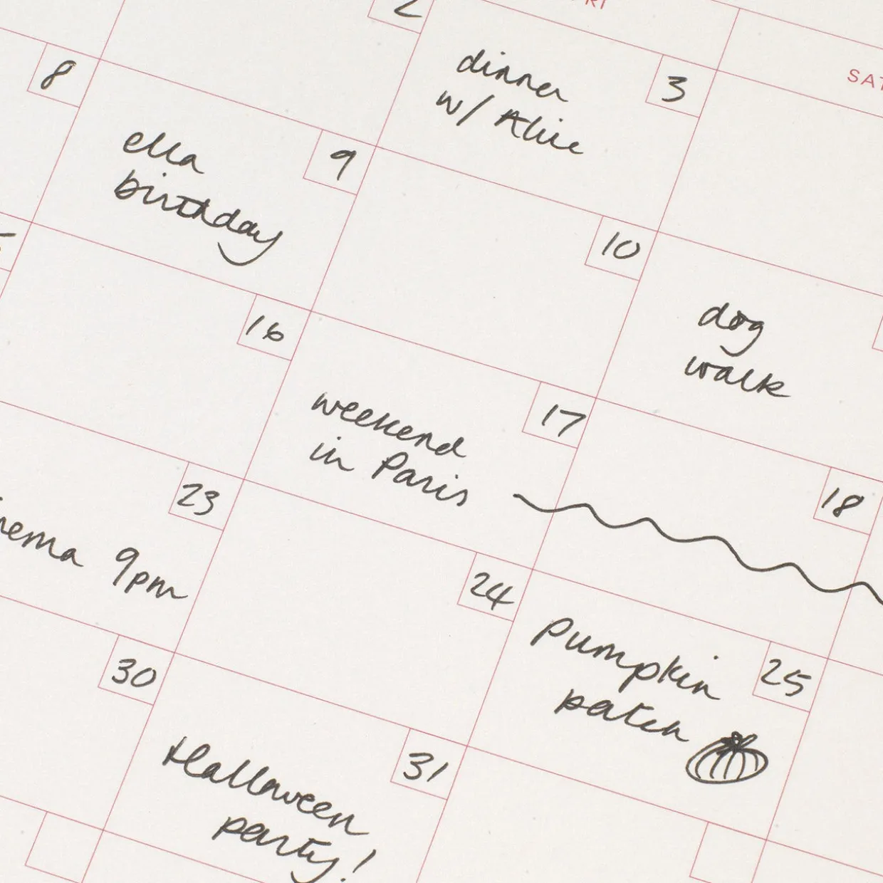 Picnic Productivity Monthly Planning Pad