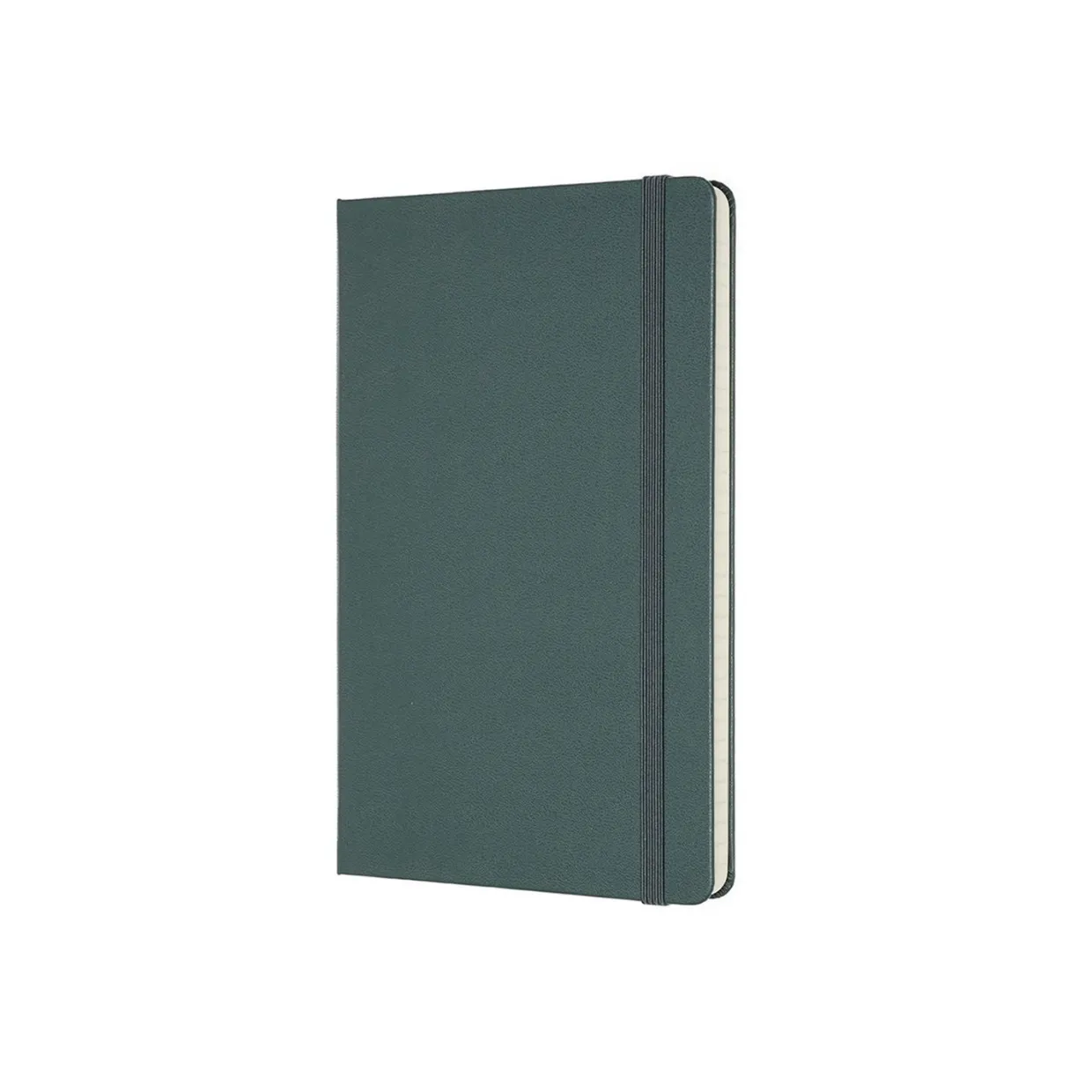 Professional Large Hard Cover Notebook