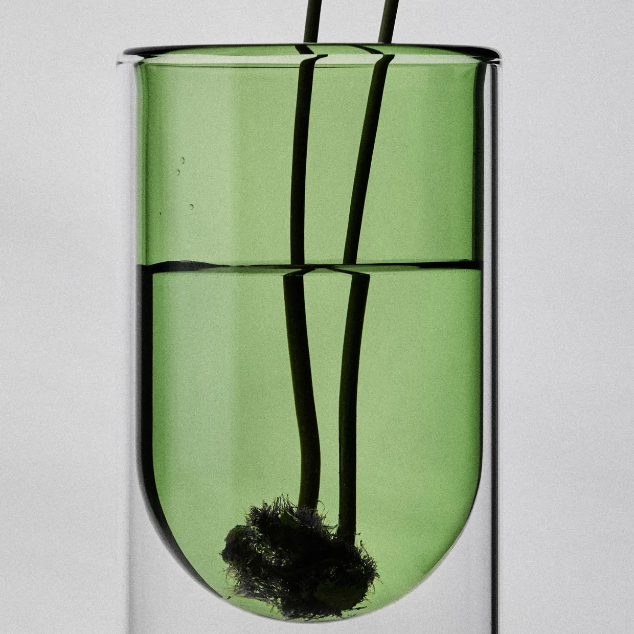 Single Propagation Vase Small