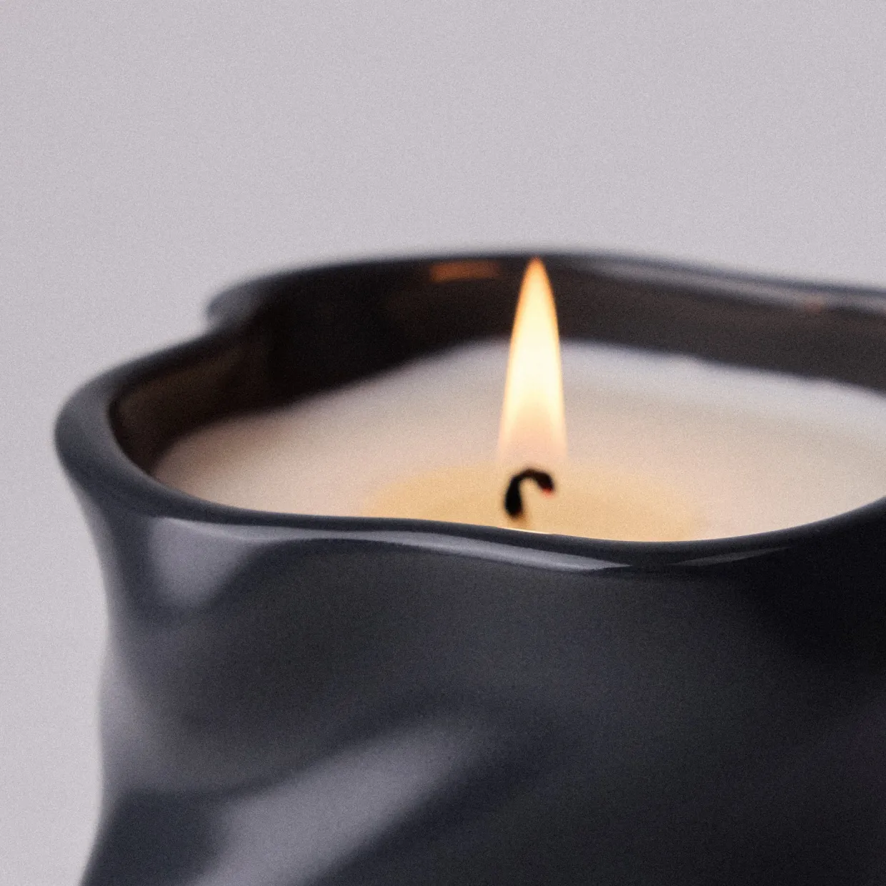 Study Of Trees Limited Edition Scented Candle