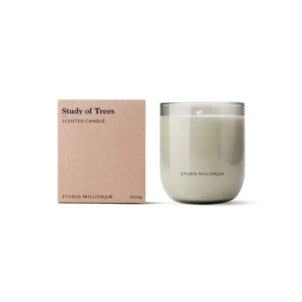 Study of Trees Scented Candle