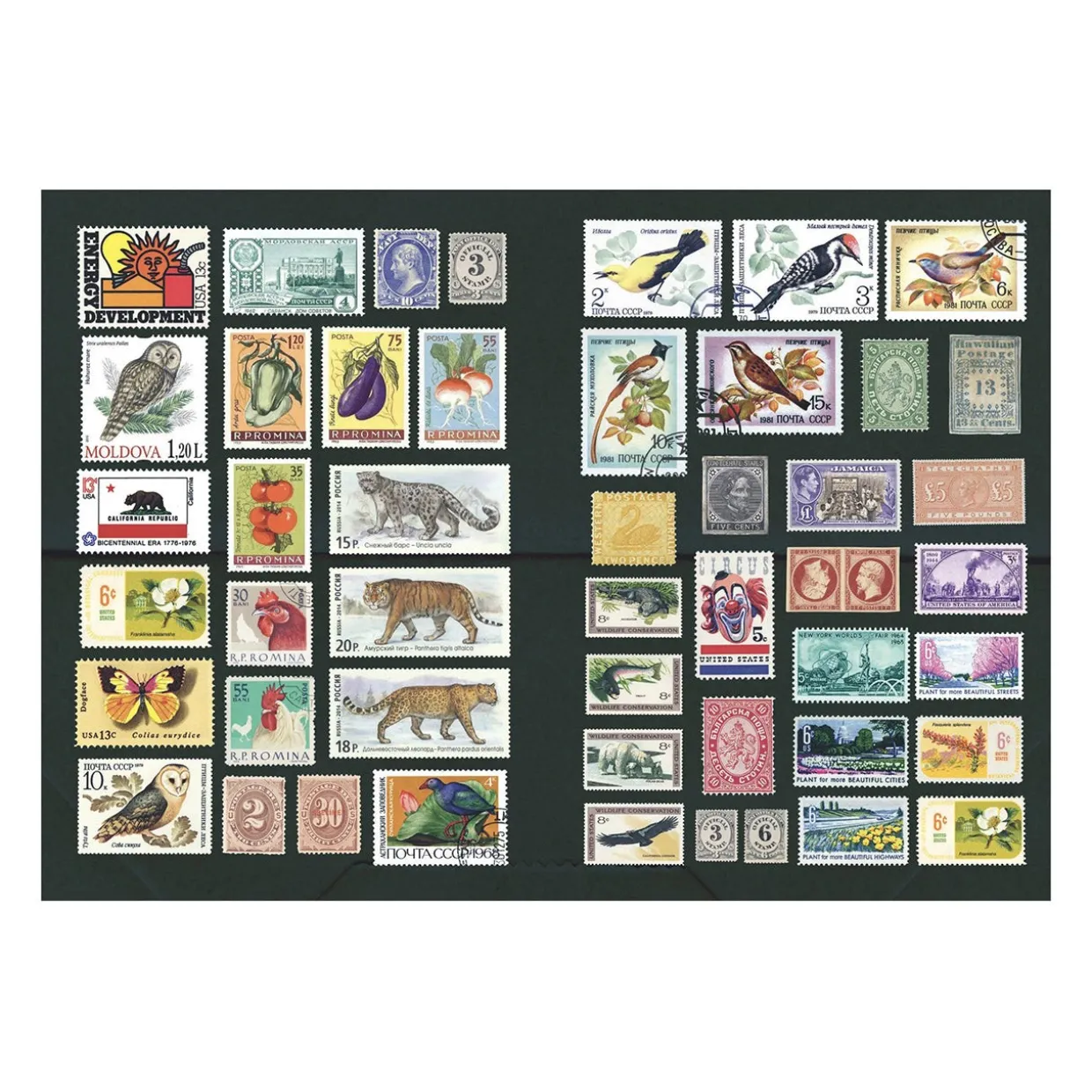 The Curious Collections Sticker Book