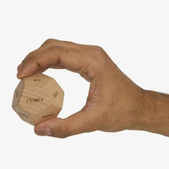 The Decision Dice