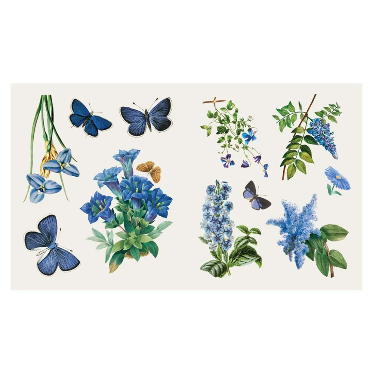 The Sticker Treasury of Butterflies and Blooms