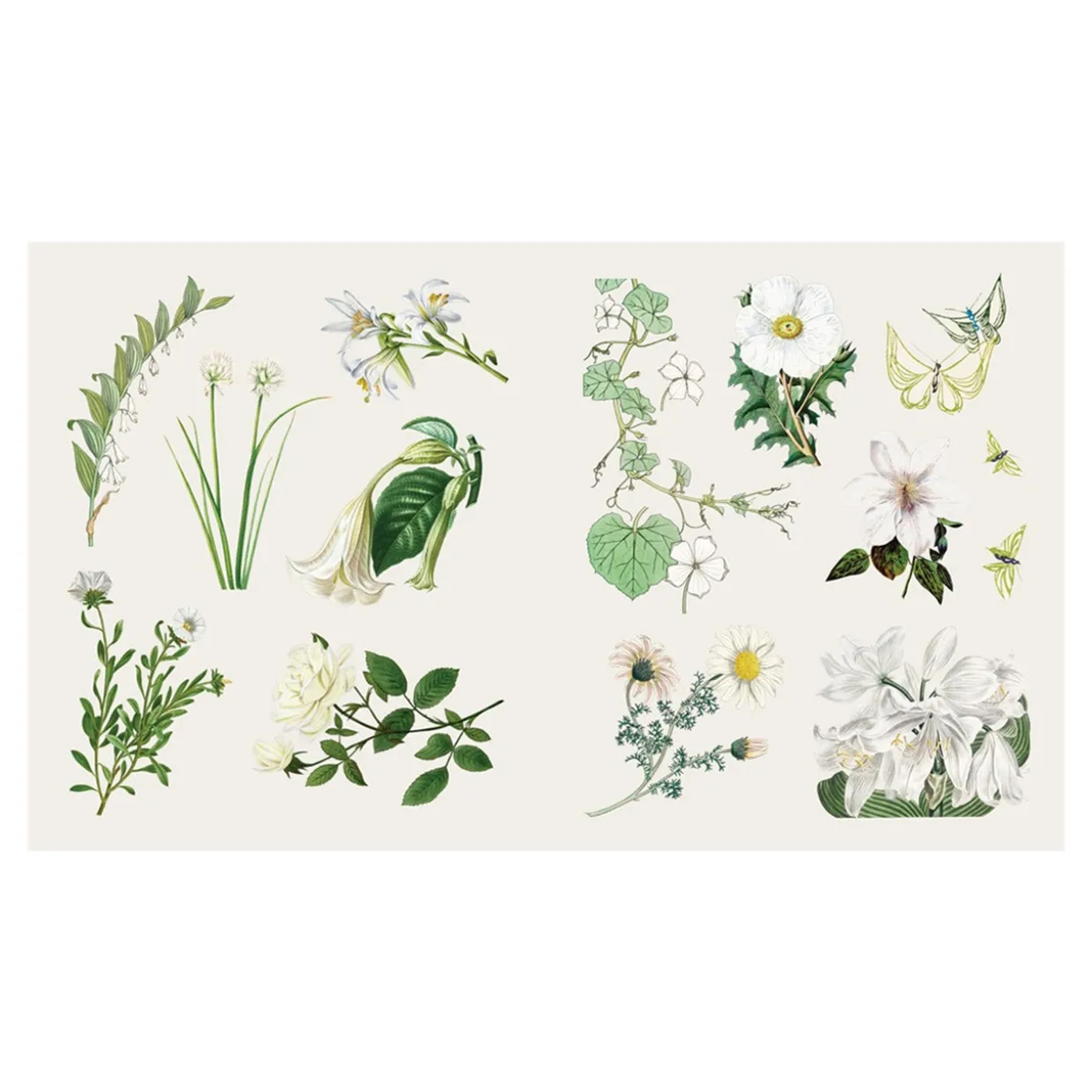 The Sticker Treasury of Butterflies and Blooms