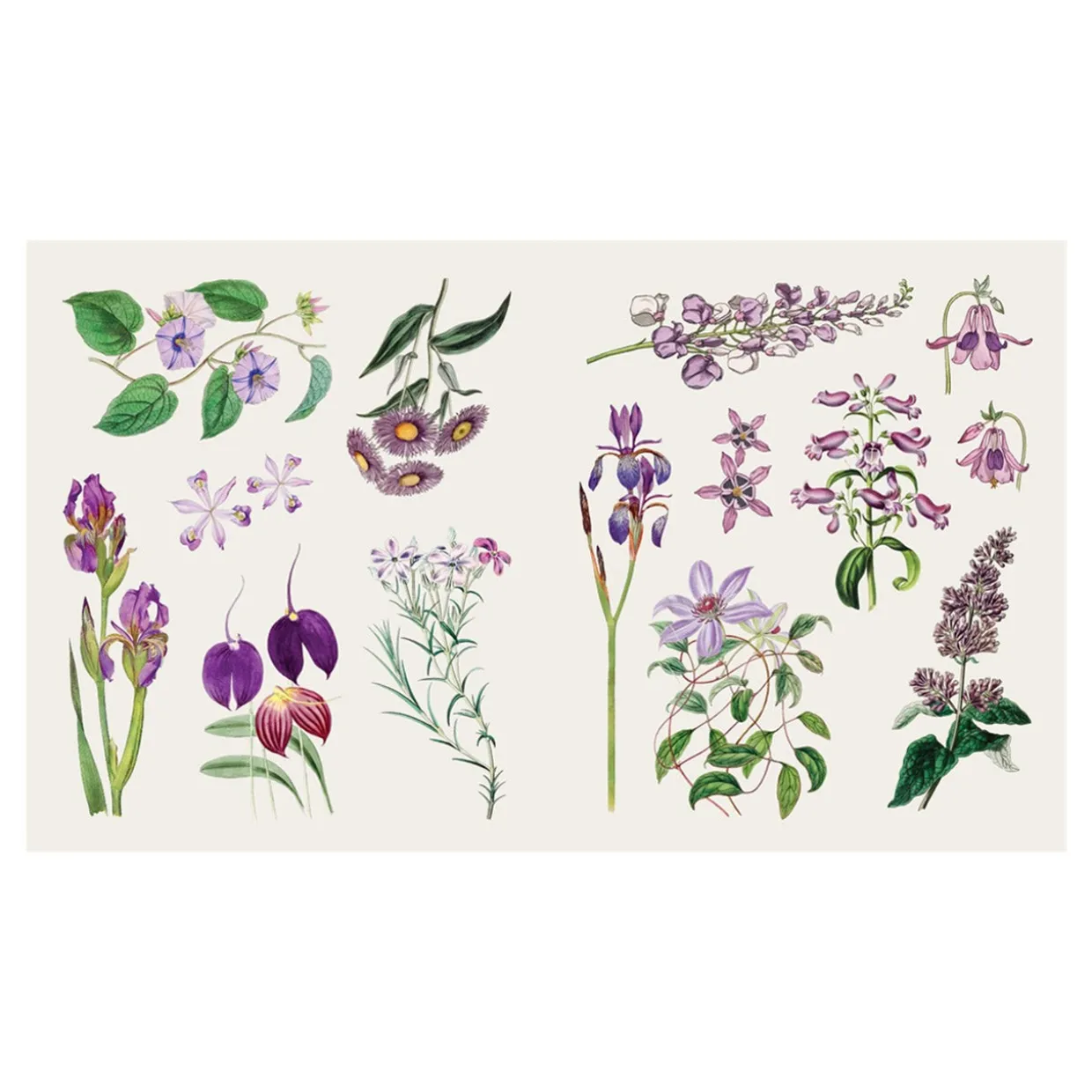 The Sticker Treasury of Butterflies and Blooms