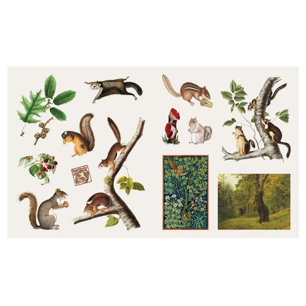 The Sticker Treasury of Woodland Adventures