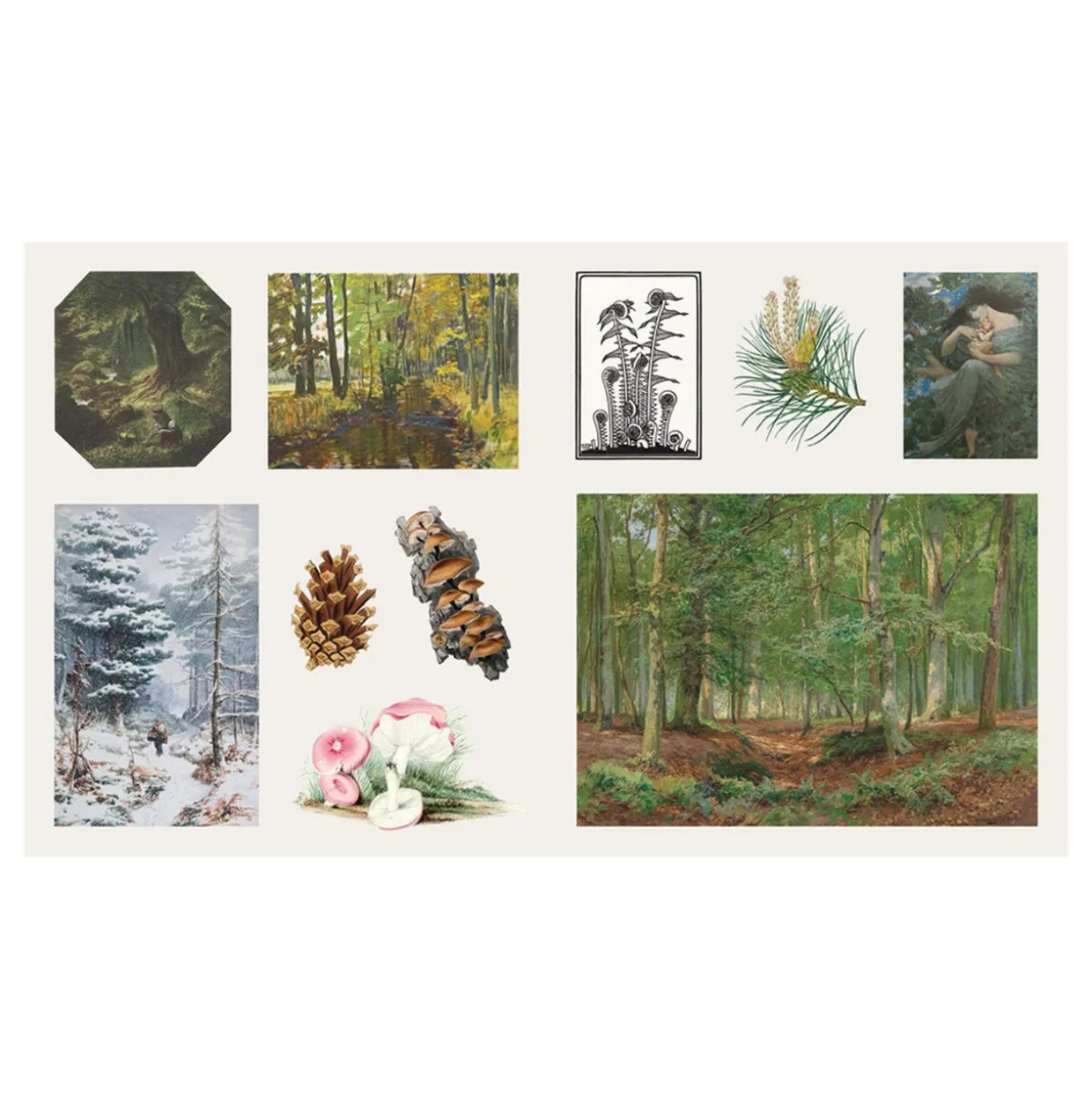 The Sticker Treasury of Woodland Adventures