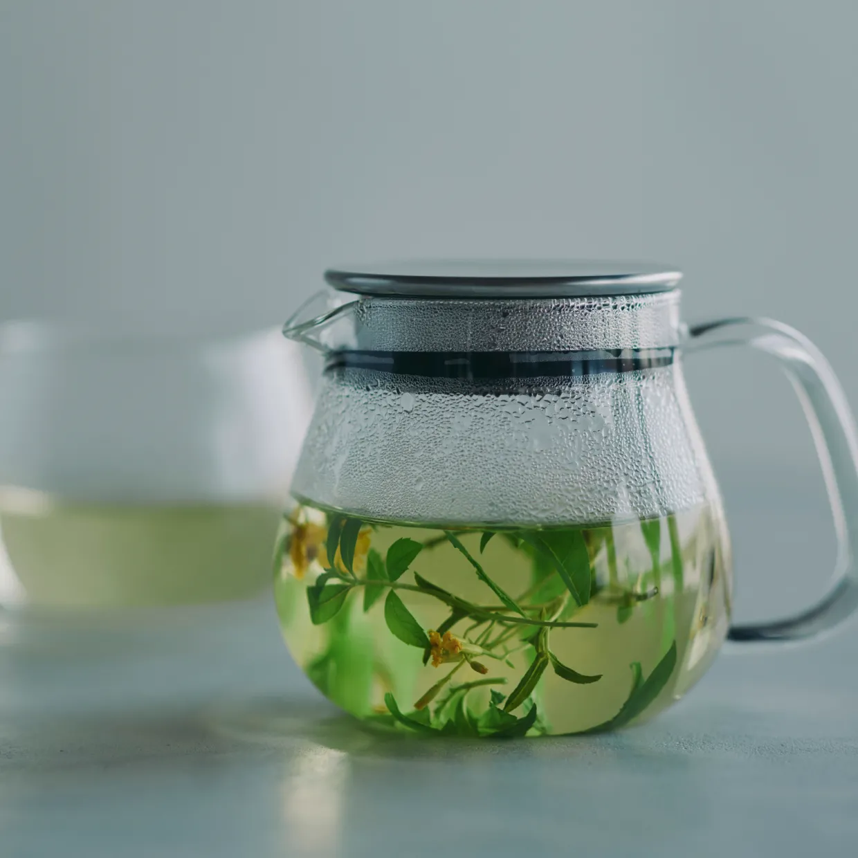 Unitea One Touch Teapot