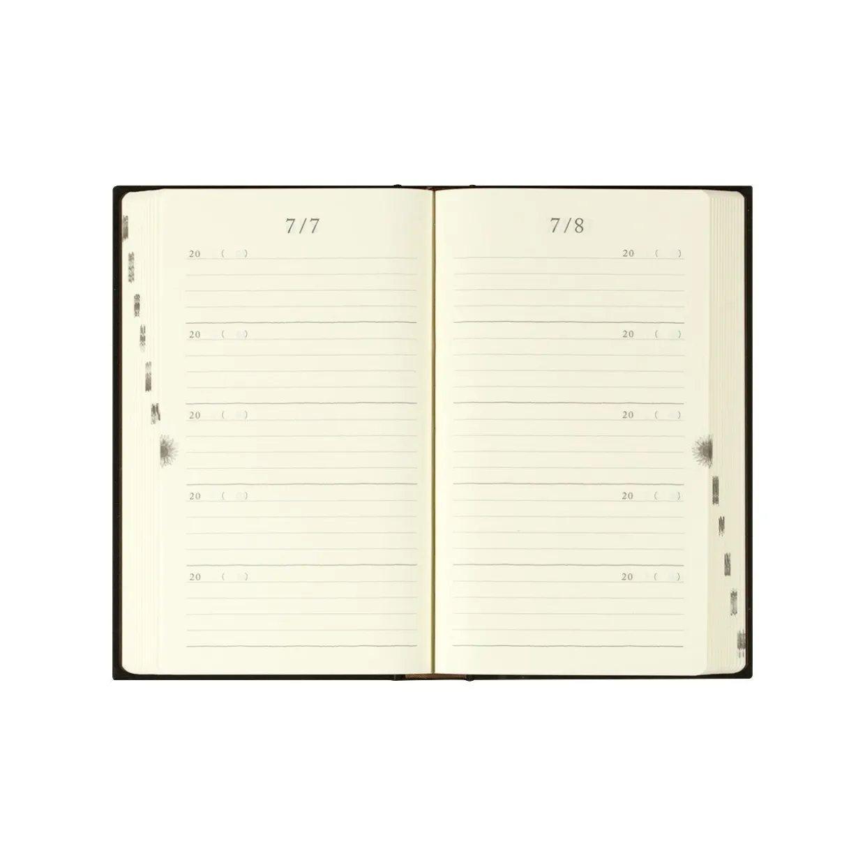 5 Years Diary