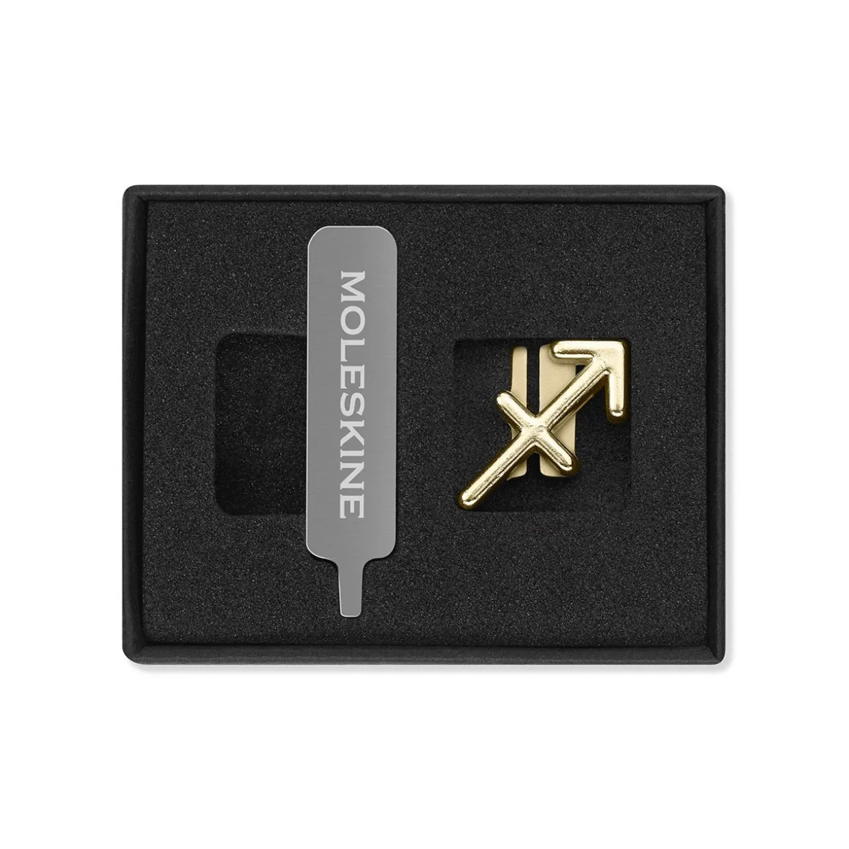 Zodiac Notebook Pin