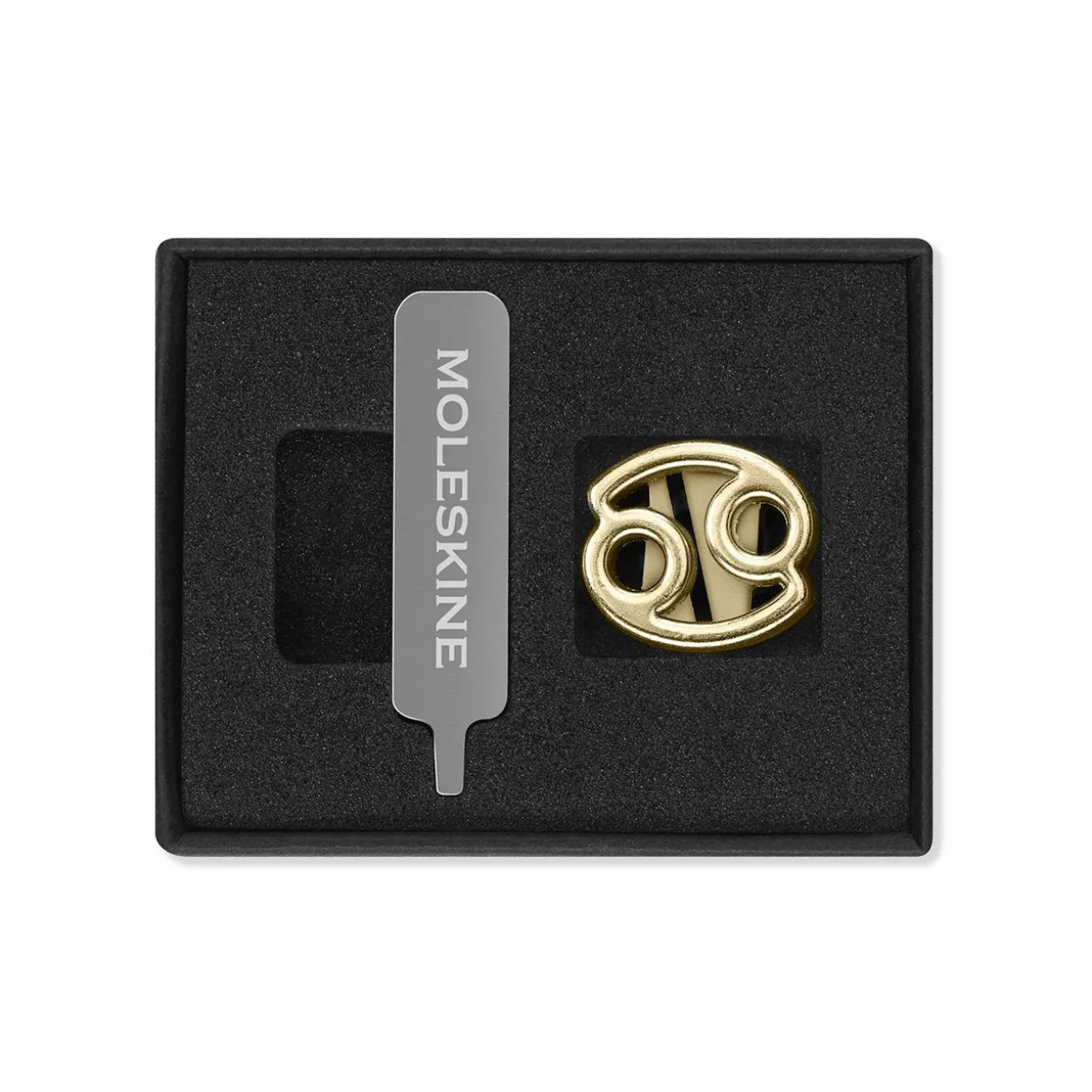 Zodiac Notebook Pin