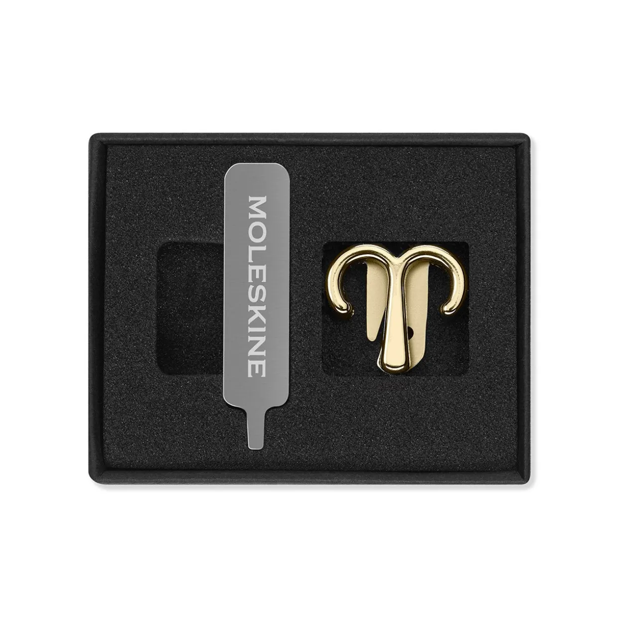 Zodiac Notebook Pin