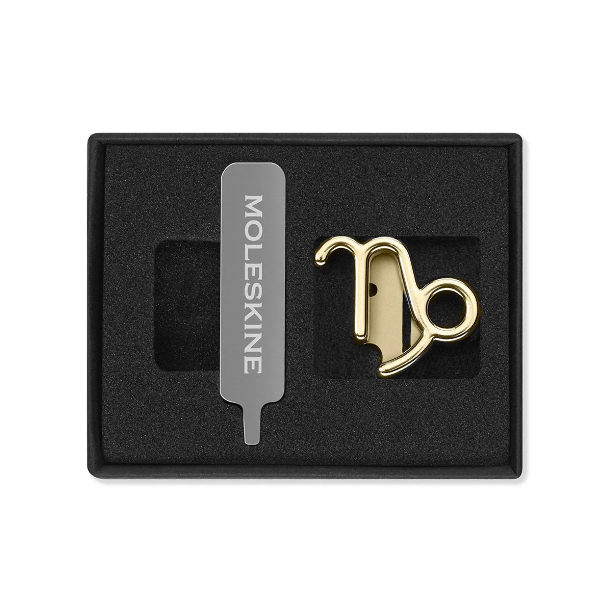 Zodiac Notebook Pin