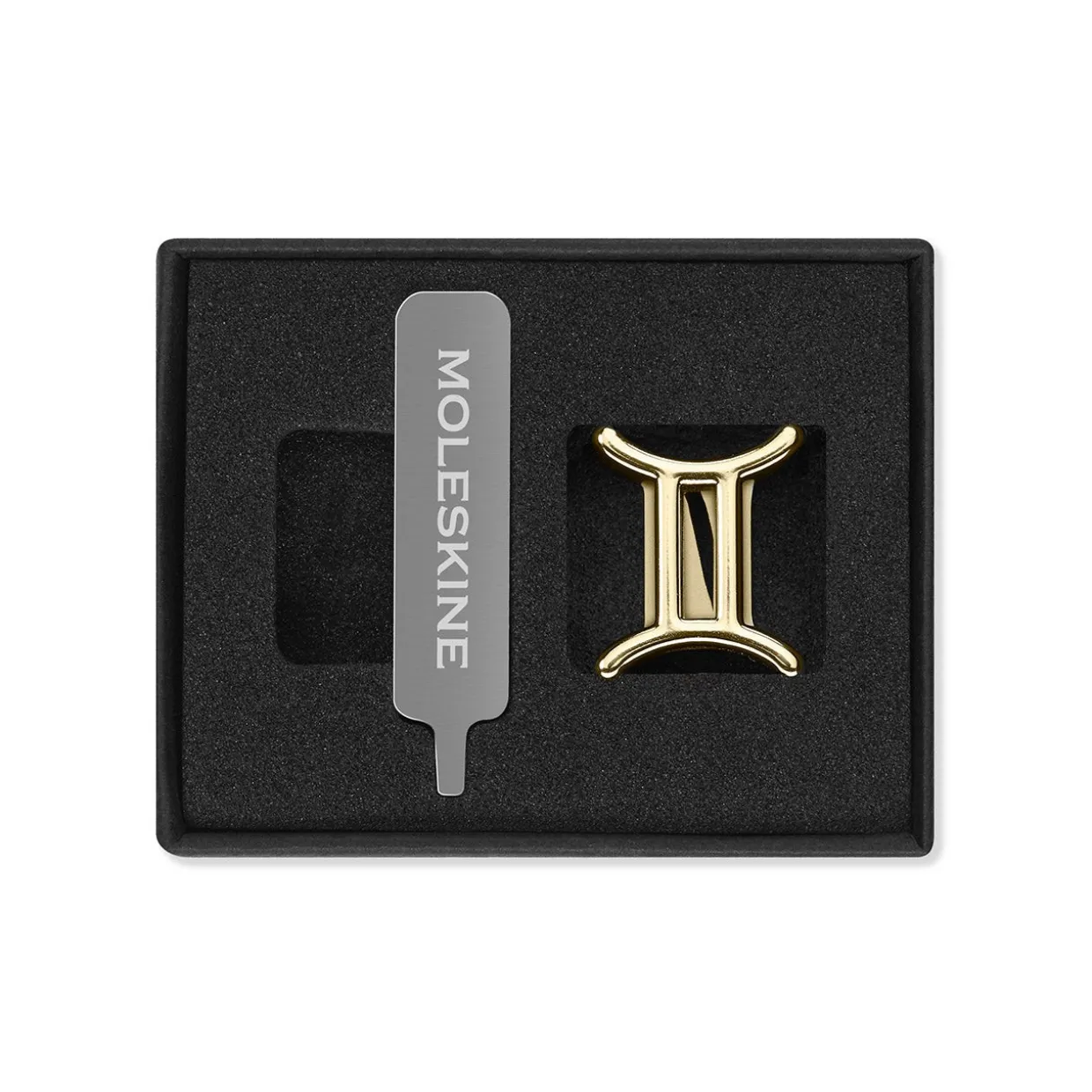 Zodiac Notebook Pin